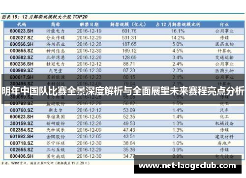 明年中国队比赛全景深度解析与全面展望未来赛程亮点分析