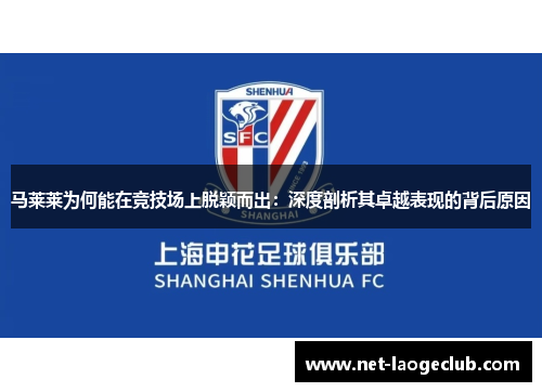 马莱莱为何能在竞技场上脱颖而出：深度剖析其卓越表现的背后原因