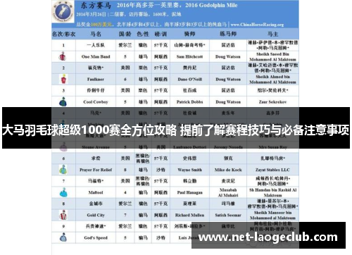 大马羽毛球超级1000赛全方位攻略 提前了解赛程技巧与必备注意事项
