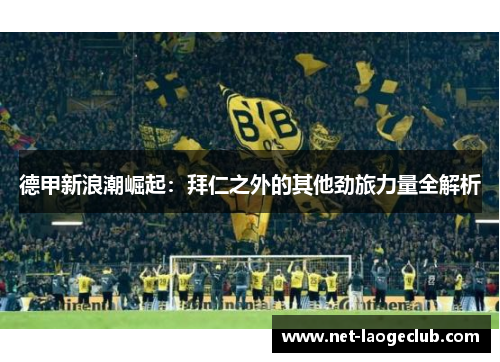 德甲新浪潮崛起：拜仁之外的其他劲旅力量全解析