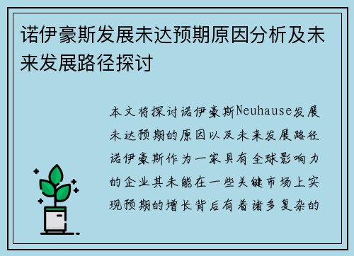 诺伊豪斯发展未达预期原因分析及未来发展路径探讨