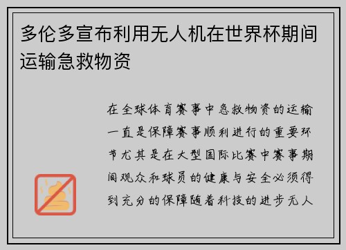 多伦多宣布利用无人机在世界杯期间运输急救物资