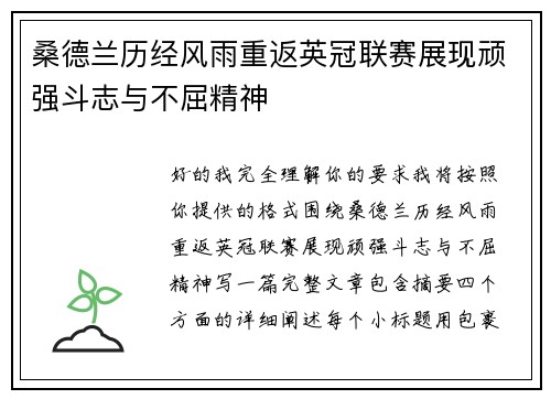 桑德兰历经风雨重返英冠联赛展现顽强斗志与不屈精神