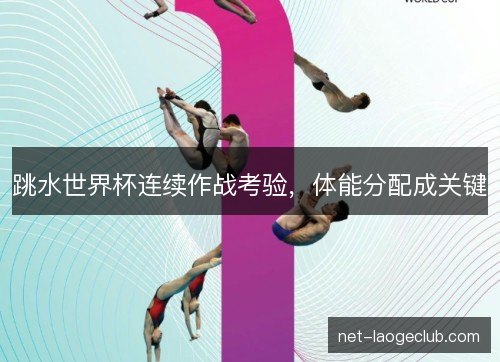 跳水世界杯连续作战考验,体能分配成关键 跳水世界杯连续作战考验,体能分配成关键